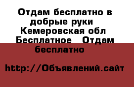 Отдам бесплатно в добрые руки - Кемеровская обл. Бесплатное » Отдам бесплатно   